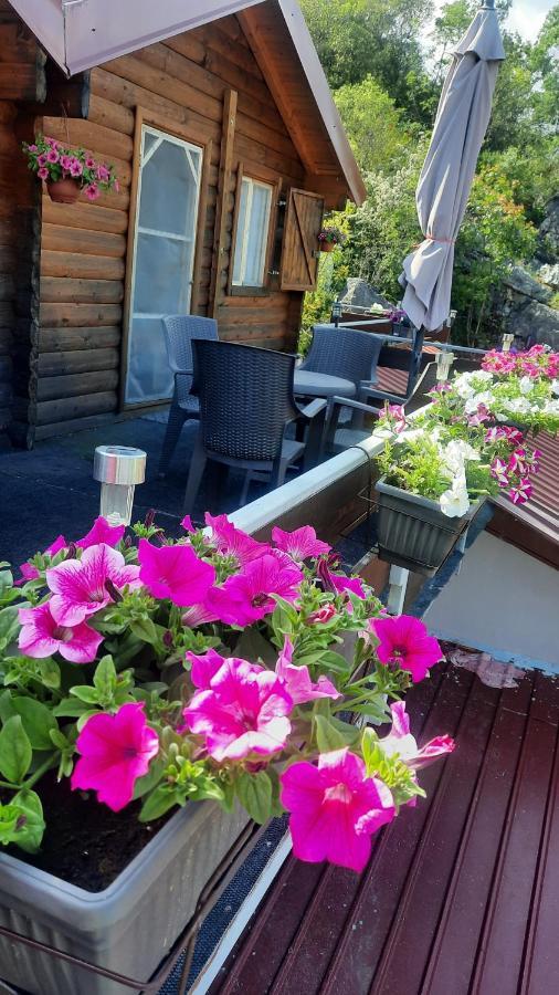 Mali Raj Apartmani Cetinje Eksteriør bilde